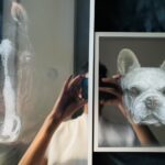 Large-Scale, 3D Knife-Cut Animal Portrait