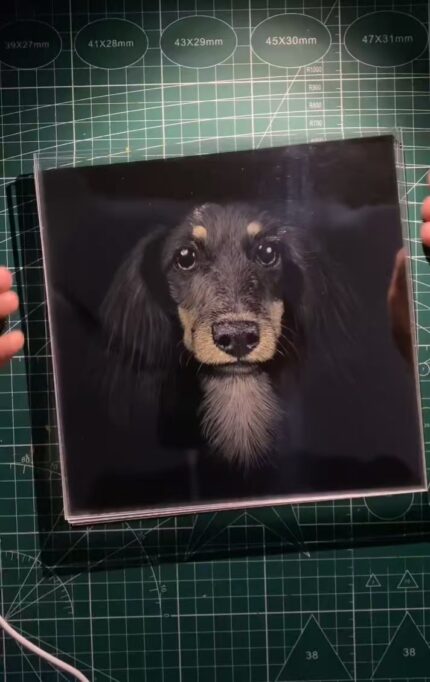 3D Knife-Carved Beagle Portrait